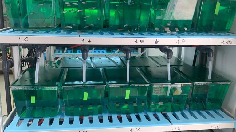 IMG-20231212-WA0012 (1)