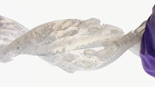 531095_s415860230678225_915887