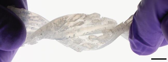 531095_s415860230678225_915887