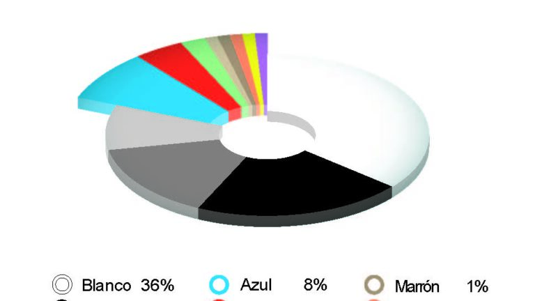 BASF emite el Color Report 2023