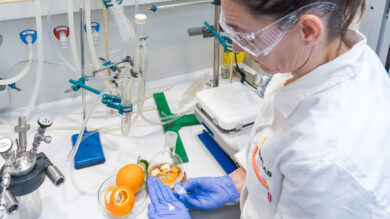 AIMPLAS impulsa el desarrollo de materiales sostenibles para la construcción producidos a partir de CO2 de emisiones industriales y pieles de cítricos