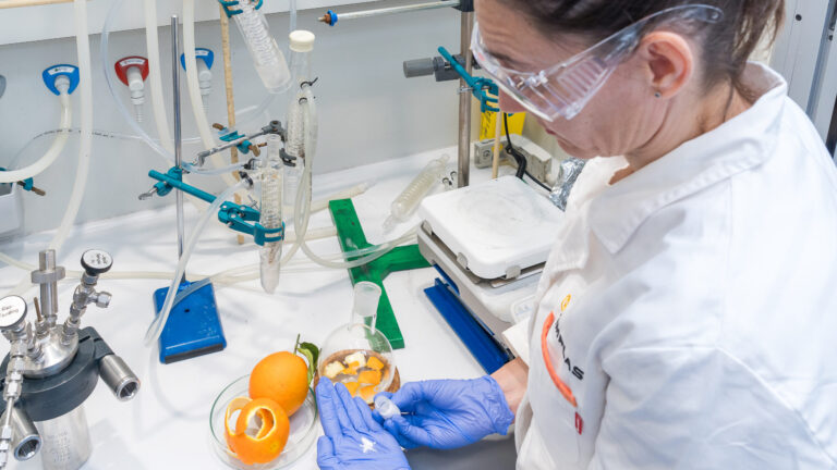 BUILD-LIMONENE 2 AIMPLAS impulsa el desarrollo de materiales sostenibles para la construcción producidos a partir de CO2 de emisiones industriales y pieles de cítricos