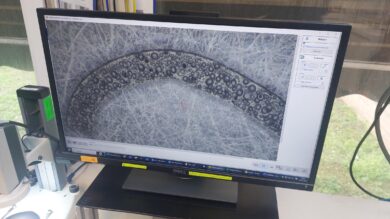 El proyecto DIGICEL 4.0 desarrollará una herramienta de control de la estructura celular de espumas poliméricas en procesos de fabricación