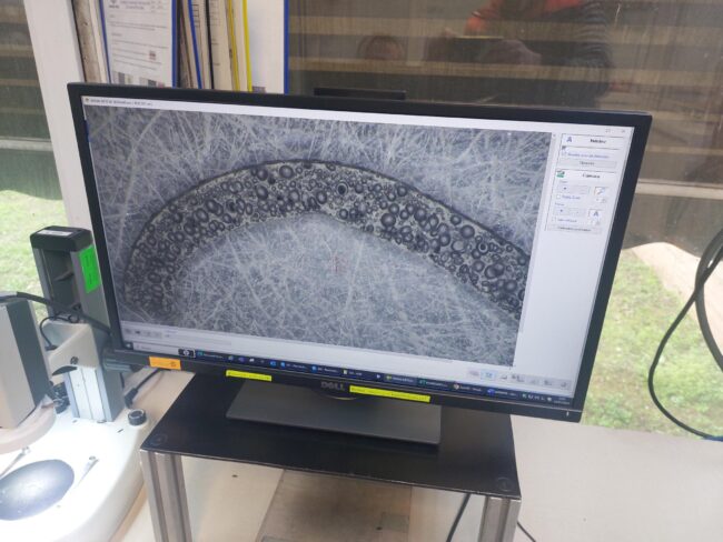 Imagen_digital_proyecto_Digicel_40 El proyecto DIGICEL 4.0 desarrollará una herramienta de control de la estructura celular de espumas poliméricas en procesos de fabricación