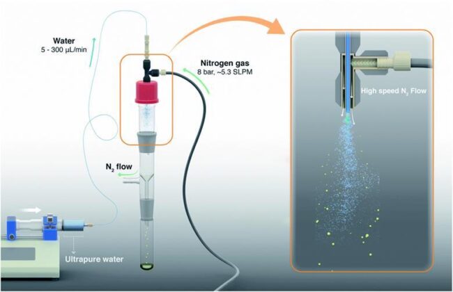 531217_d1sc06465gf1_hires1_260625