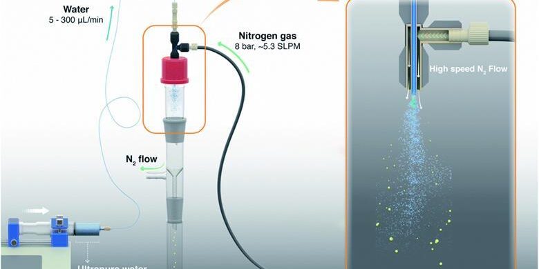 531217_d1sc06465gf1_hires1_260625