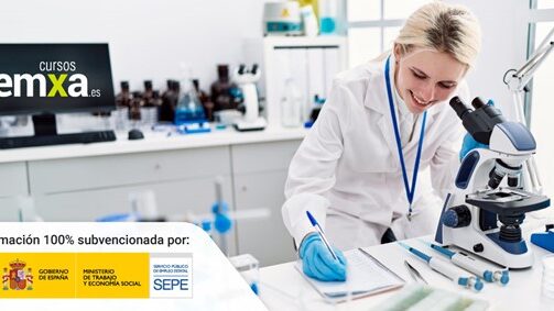 FEMXA La importancia de la formación continua para el éxito empresarial en el sector químico