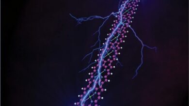 Transporte balístico en cables moleculares largos: nano-cintas de porfirina