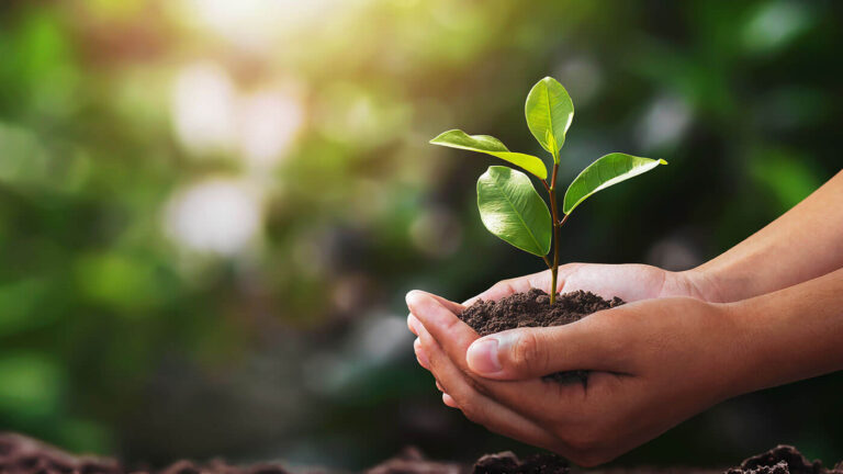 transparencia y veracidad de las comunicaciones medioambientales