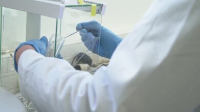 ITENE impulsa la creación de un polietileno reticulado reversible, sostenible y reciclable