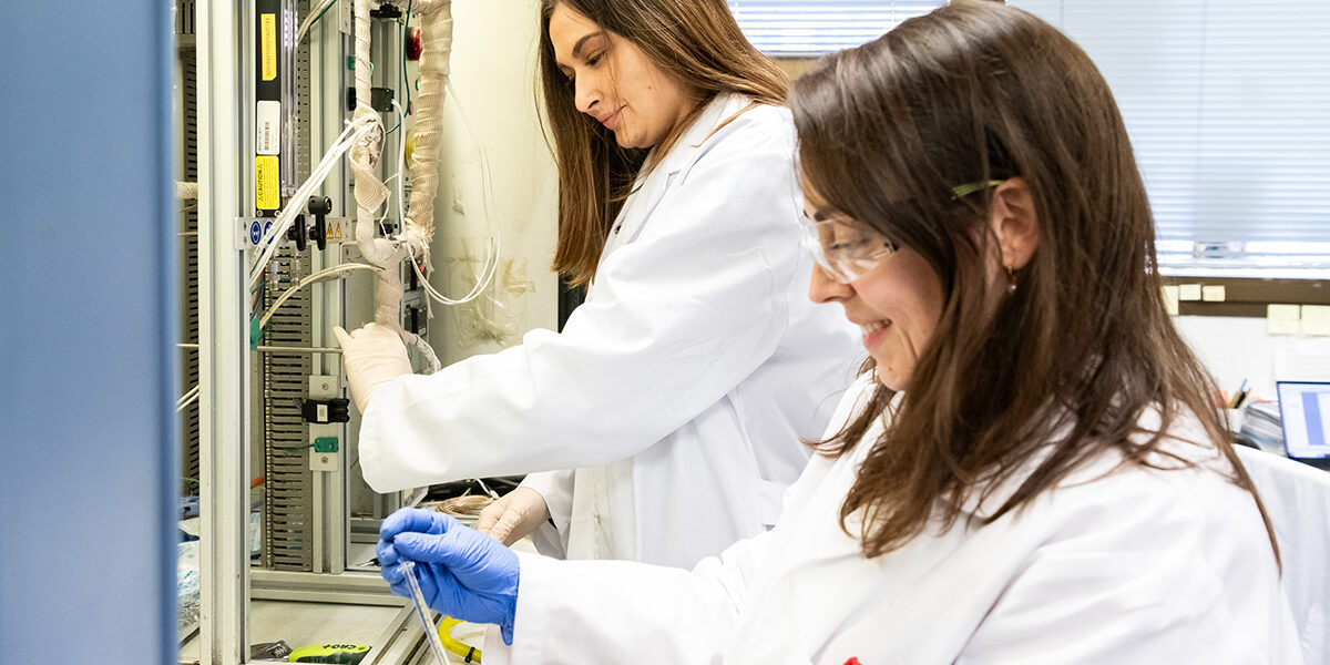 Patentan un nuevo catalizador más seguro y eficiente para purificar etileno, uno de los mayores procesos químicos del mundo