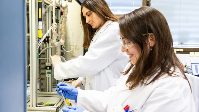 Patentan un nuevo catalizador más seguro y eficiente para purificar etileno, uno de los mayores procesos químicos del mundo