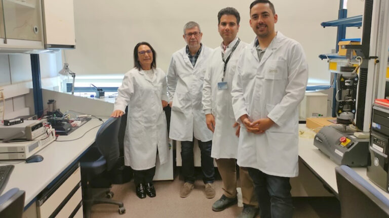 Desarrollan una solución pionera para convertir residuos de madera en electricidad