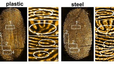 tintes fluorescentes para visualizar instantáneamente huellas digitales