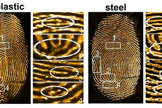 531897_fig.4acopy_451000 tintes fluorescentes para visualizar instantáneamente huellas digitales