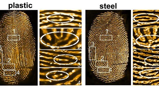 531897_fig.4acopy_451000 tintes fluorescentes para visualizar instantáneamente huellas digitales