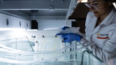 bioplásticos biodegradables