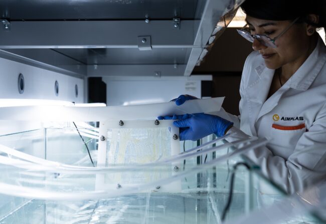 bioplásticos biodegradables