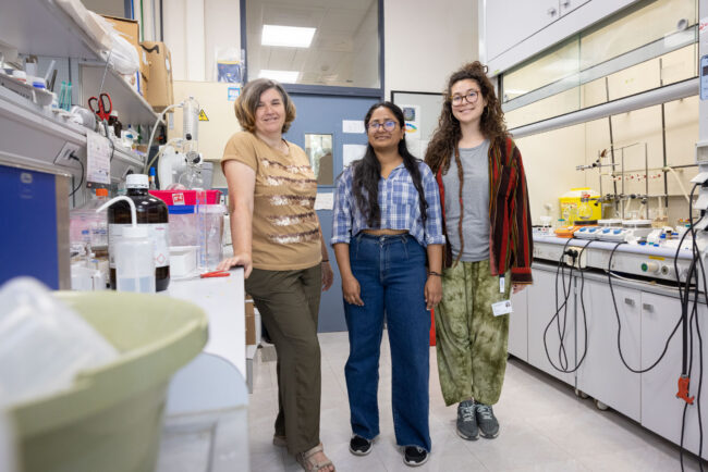 Autor: Damián Llorens