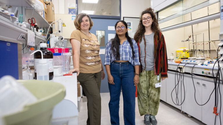 Autor: Damián Llorens