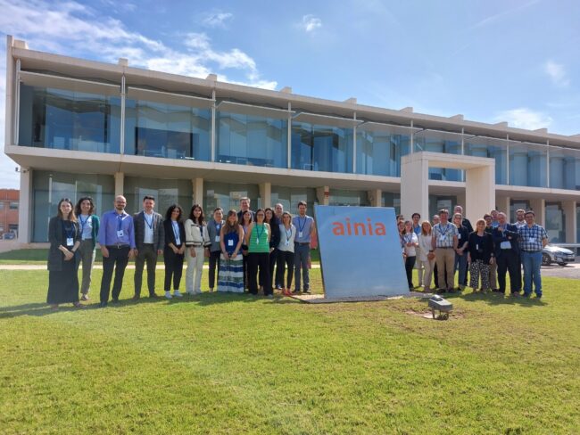 ainia reunion proyecto