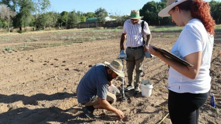 Trabajo-de-campo-856×565-1-768×507