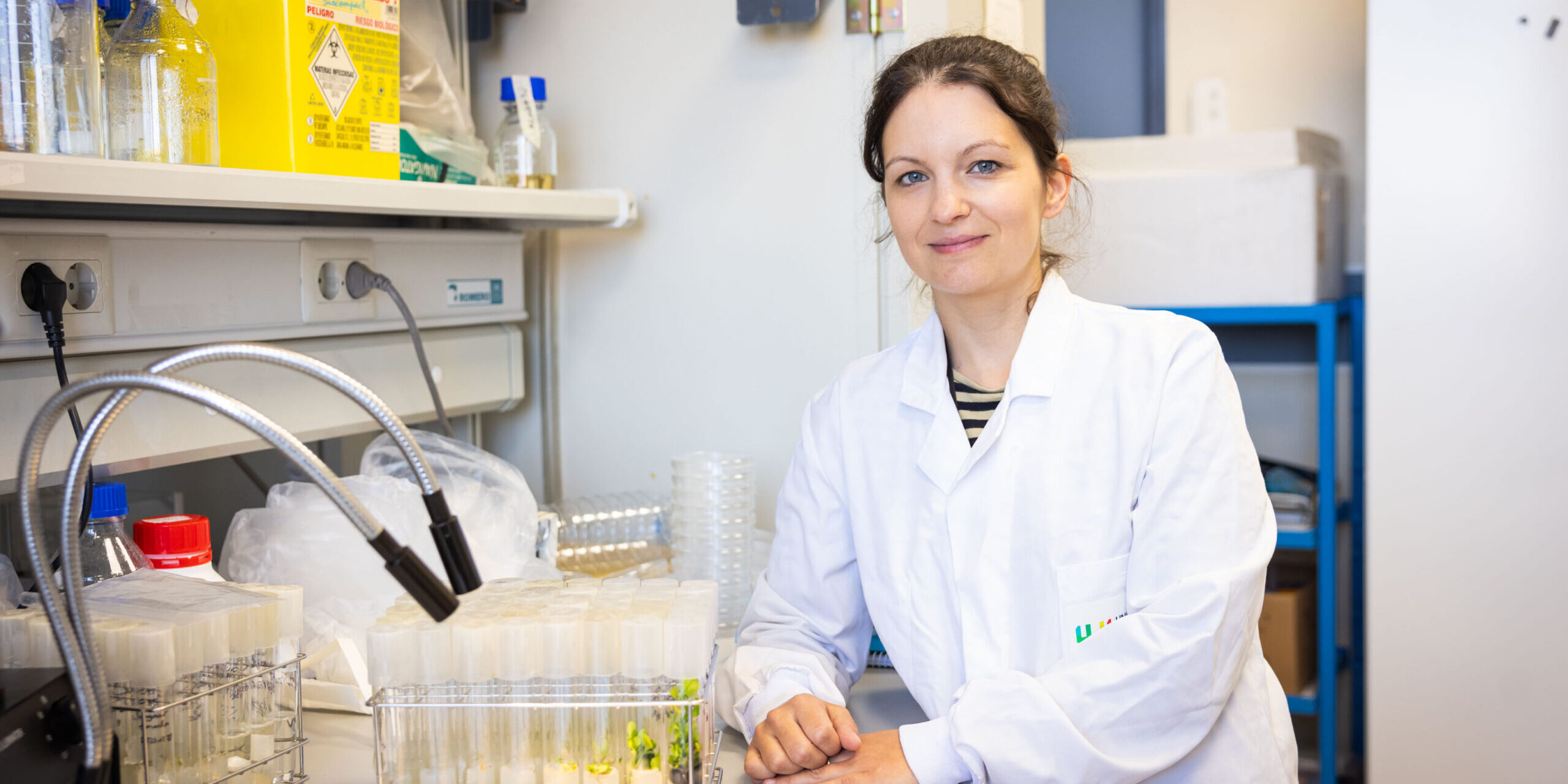 Autor: Damián Llorens