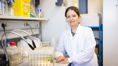 Autor: Damián Llorens