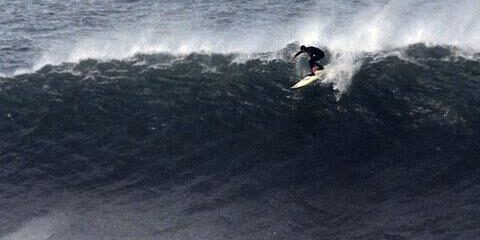 535573_sarah_mavs_01_large_130487 Fuente: Peter Burnight