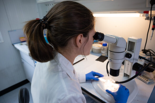 Laboratorio_Aixa Morales_CAJAL-4_0