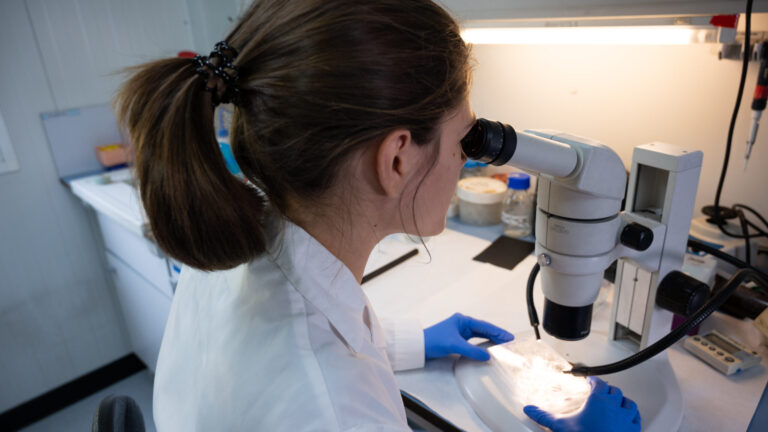 Laboratorio_Aixa Morales_CAJAL-4_0