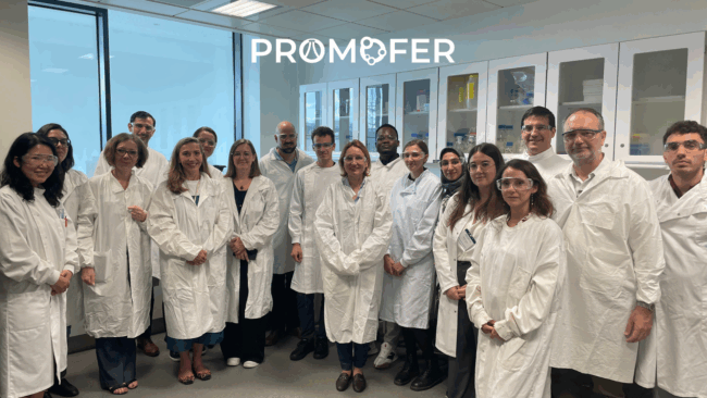 PROMOFER #4