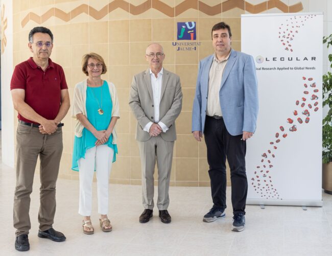 Inversio_spin_off_MOLECULAR_25UJI073