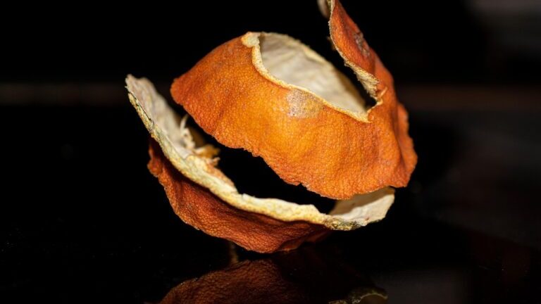 Cascara-naranja-768×512