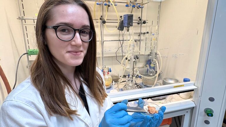 FOTO-UAL-7-NOVIEMBRE-2025-MATERIAL-MOF