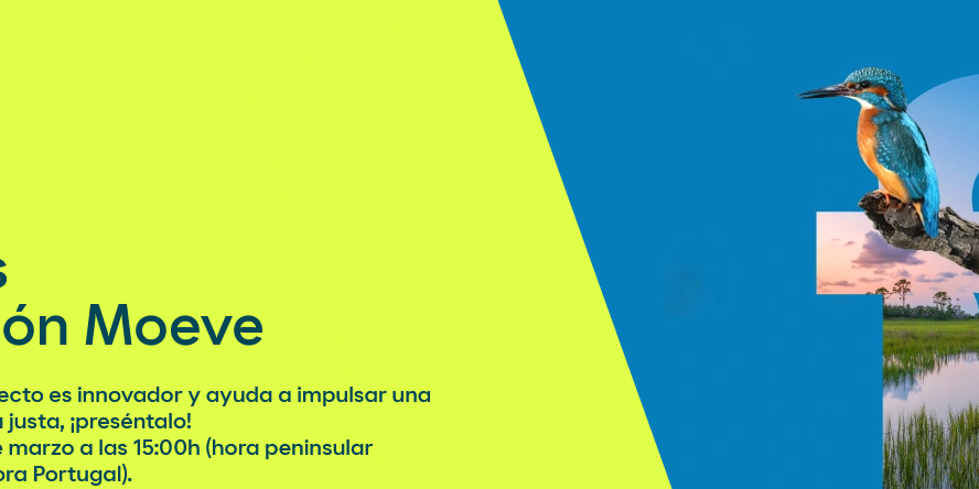 Premios fundación Moeve_ impulsando la transición ecológica